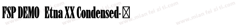 FSP DEMO   Etna XX Condensed字体转换